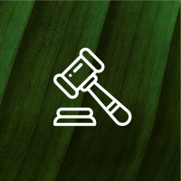 MEDIARE white icon_LAW2