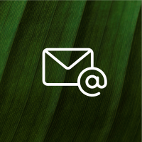 MEDIARE white icon_mail