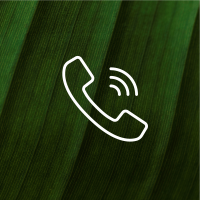MEDIARE white icon_phone